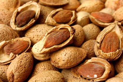 Mandorle in guscio Bio Kg. 1