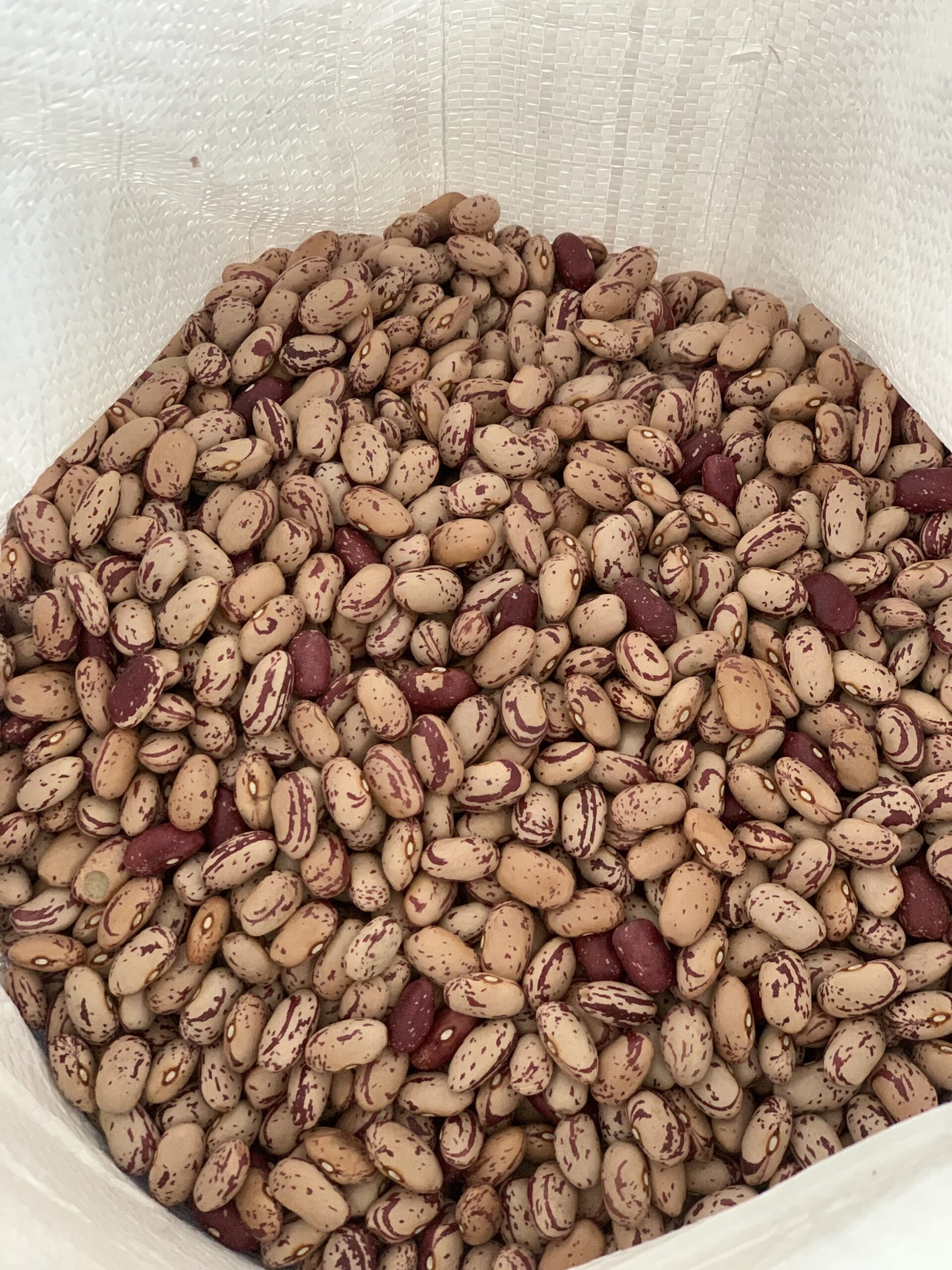 Fagioli Borlotti Siciliani Gr. 500 - immagine 2